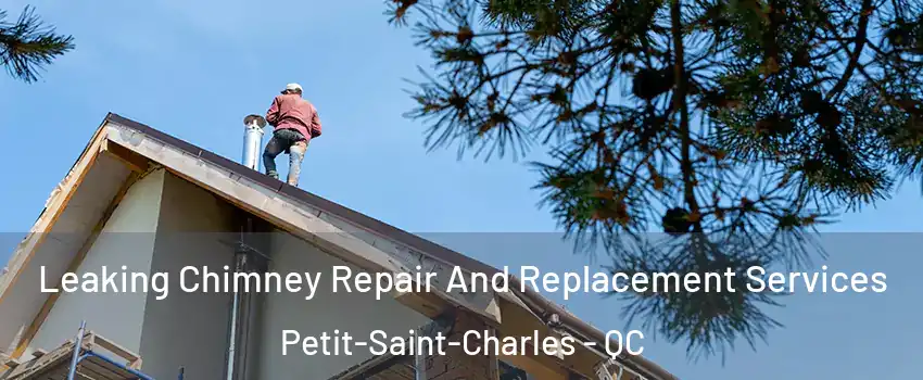  Leaking Chimney Repair And Replacement Services Petit-Saint-Charles - QC