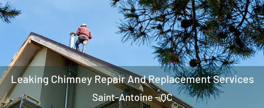  Leaking Chimney Repair And Replacement Services Saint-Antoine - QC