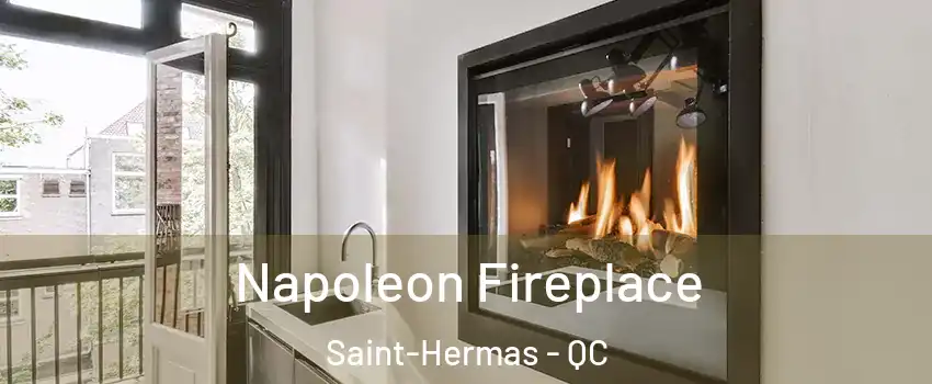 Napoleon Fireplace Saint-Hermas - QC