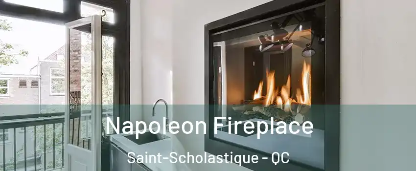  Napoleon Fireplace Saint-Scholastique - QC