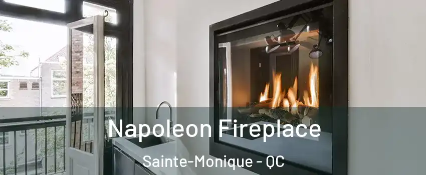  Napoleon Fireplace Sainte-Monique - QC