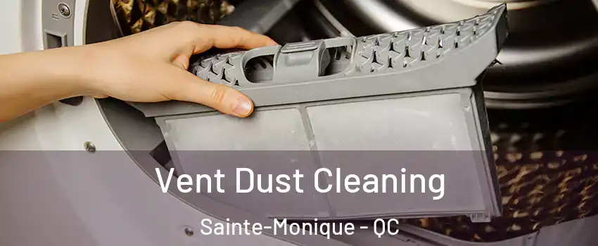  Vent Dust Cleaning Sainte-Monique - QC
