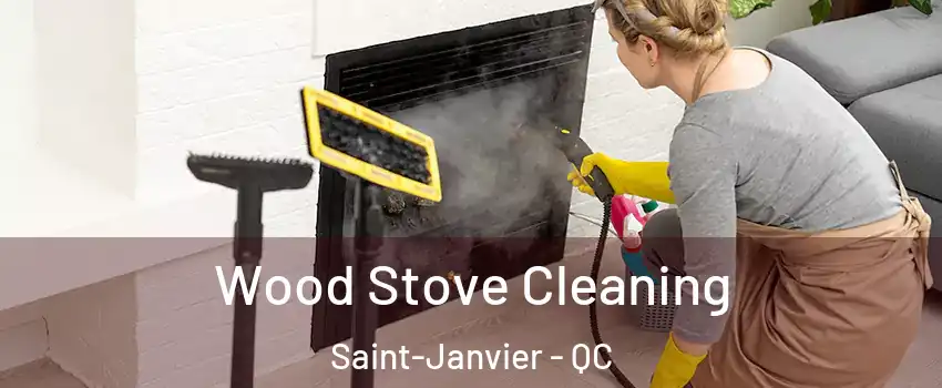  Wood Stove Cleaning Saint-Janvier - QC