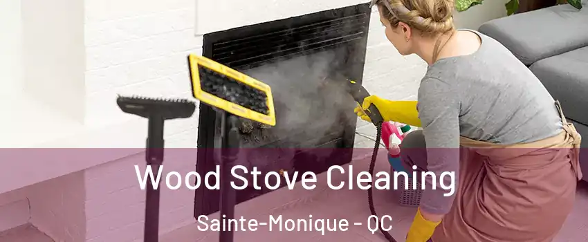  Wood Stove Cleaning Sainte-Monique - QC